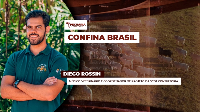 Confina Brasil da Scot Consultoria concluiu sua quarta e última etapa de avaliação de confinamentos pelo Brasil