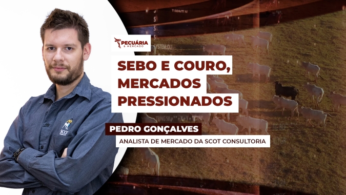 Enquanto sebo sofre concorrência do óleo de soja, couro é impactado pelo efeito da guerra comercial