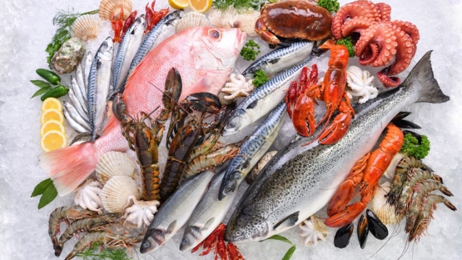 MPA e Mapa definem Nota Fiscal do Pescado como documento oficial de origem do pescado