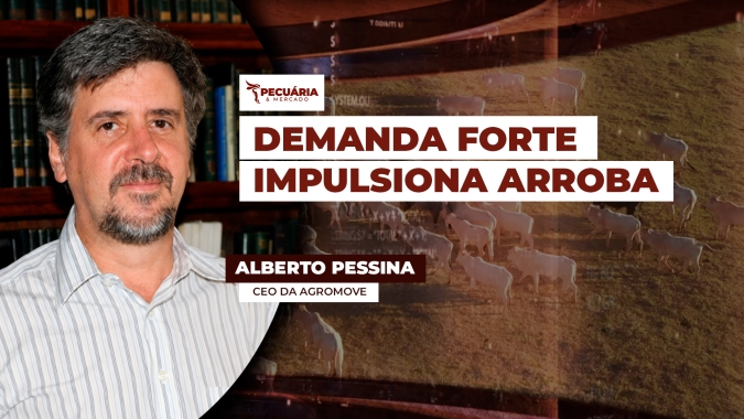 Alta da arroba no 1º semestre veio da demanda; agora, preços firmes dependem de menor oferta