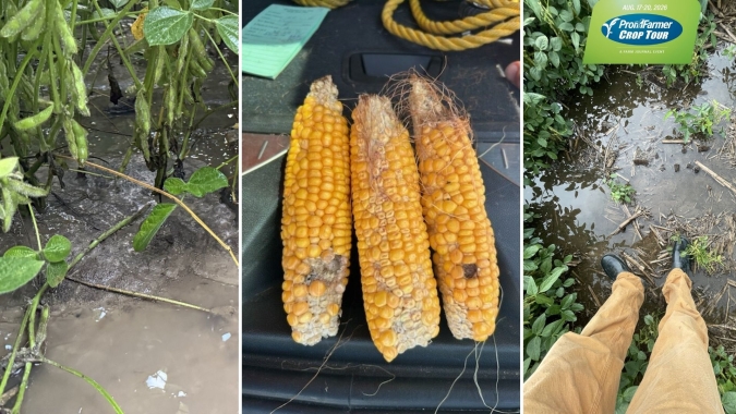 Pro Farmer Crop Tour: primeiros resultados mostram impacto do clima e colocam em xeque potencial das lavouras dos EUA