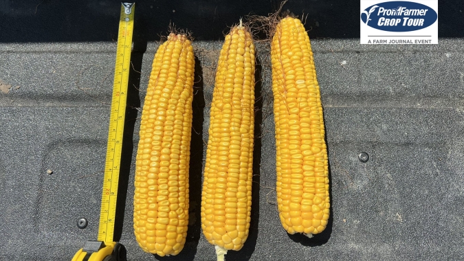 Pro Farmer: Efeitos da seca preocupam mais em Nebraska e Indiana, mas números superam 22/23