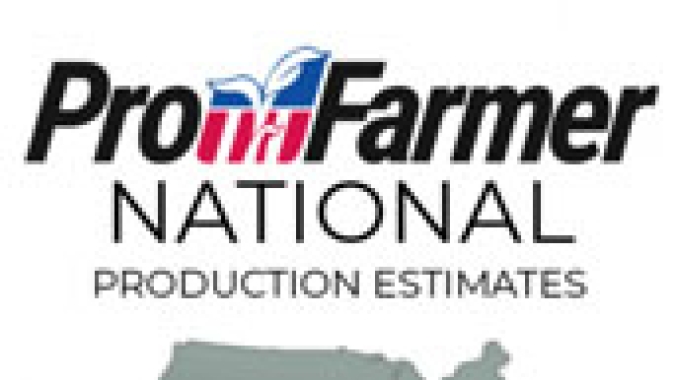 Pro Farmer estima maiores produção e produtividade de soja e milho nos EUA do que o USDA