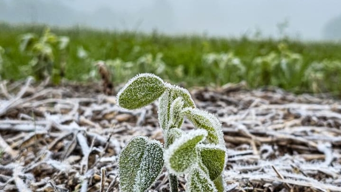 Frio extremo avança no Sul e acende alerta para geada forte em áreas produtoras