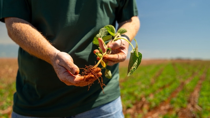 Plantio de soja se estende e irregularidade das chuvas preocupa produtores em todo o Mato Grosso