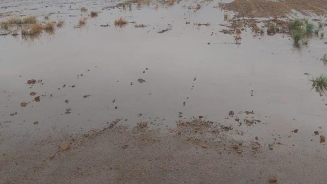 Chuvas intensas em Mato Grosso atrasam plantio e elevam riscos à produção do algodão