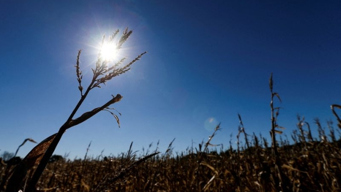 Chuvas previstas na Argentina podem limitar perdas de safra por seca, dizem especialistas