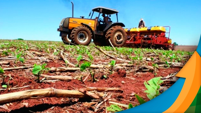 Assis Chateaubriand/PR vai precisar replantar áreas de soja após ventos e granizo, mas preços e disponibilidade de insumos preocupam
