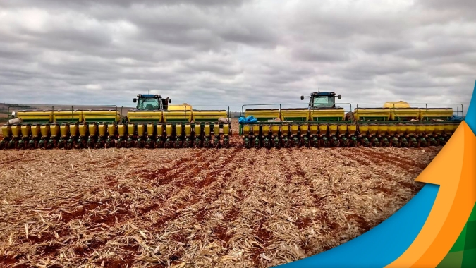 Plantio da soja chega à reta final em Lucas do Rio Verde/MT com boas perspectivas de produtividade