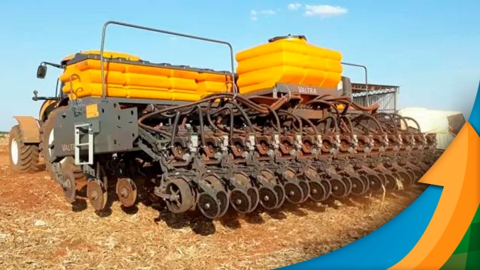 Chuva atrasou plantio da soja em Maringá/PR, mas primeiras germinações estão em boas condições