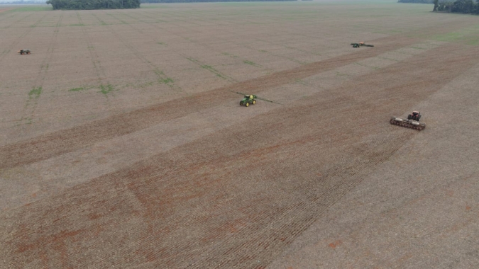 Argentina: Plantio da soja chega a 69% da área, informa Ministério da Agricultura