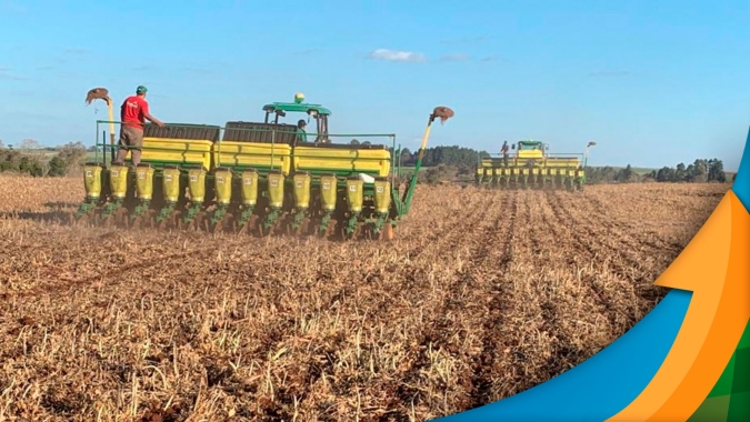 Condições de plantio foram favoráveis para a soja em Campo Novo do Parecis/MT e projeção é de boa produtividade