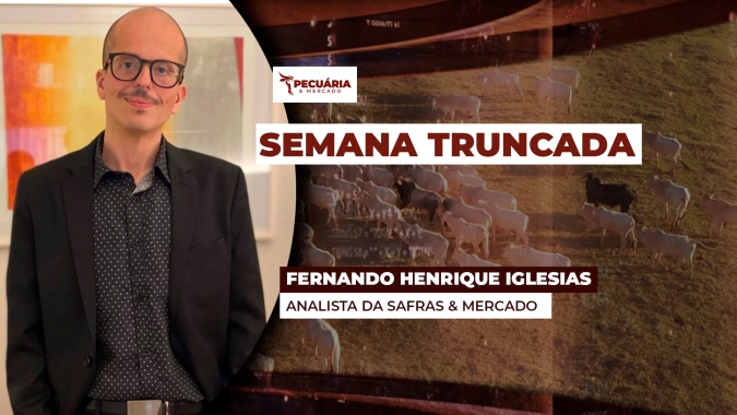 Com interesses distintos, frigoríficos e pecuarista não se entendem sobre preço da arroba e mercado do boi se acomoda