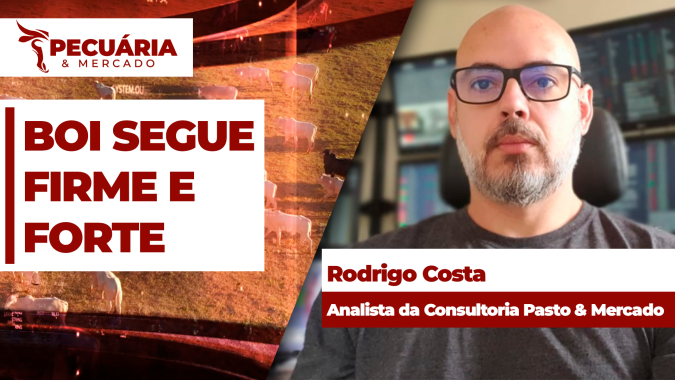 Oferta ajustada de animais e perspectiva de aumento no consumo de carne bovina fortalecem arroba futura