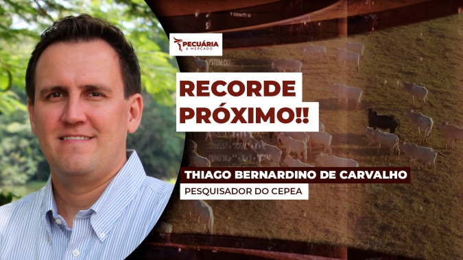 Arroba brasileira está prestes a atingir patamar histórico de 70 dólares no mercado internacional