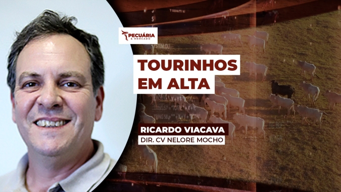 Após dois anos difíceis para os investimentos na pecuária, busca por genética tem apresentado mudanças