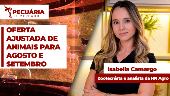 Oferta contida de animais evita pressão maior sobre arroba mesmo com desaceleração na demanda por carne