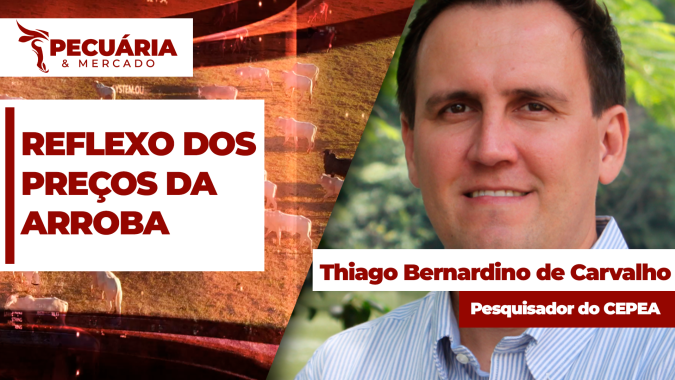 Boi Gordo: Reflexos dos preços altos da no 1º semestre são sentidos agora no mercado consumidor