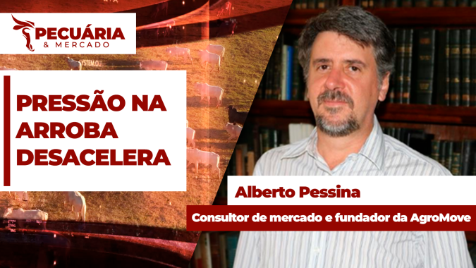 Movimento de pressão sobre arroba começa a desacelerar em busca de um piso para os preços, mas ainda é cedo para retomada da alta
