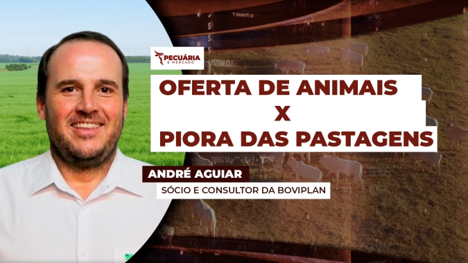 Boi Gordo: Piora das pastagens acende alerta sobre aumento na oferta de animais a partir de maio