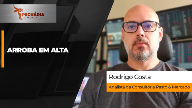 Cenário é de alta para arroba a partir de outubro com reforço das demandas e uma oferta controlada de animais