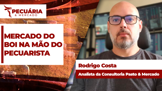 Agosto tem nova queda no abate com destaque para forte redução de fêmeas