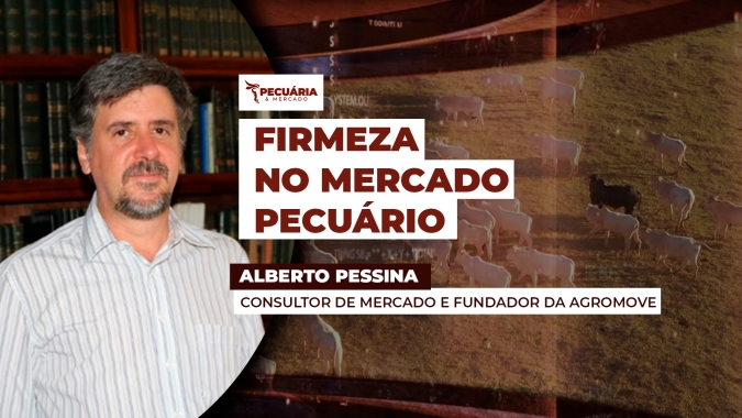 Mercado do boi mantém ritmo firme na maioria das praças, com melhora nas cotações da carne e demanda externa em alta