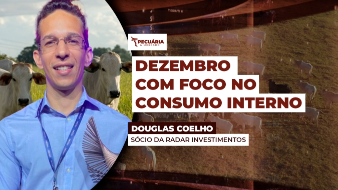 Cenário de alta para arroba deve vir da demanda interna; dezembro começa com carne resiliente