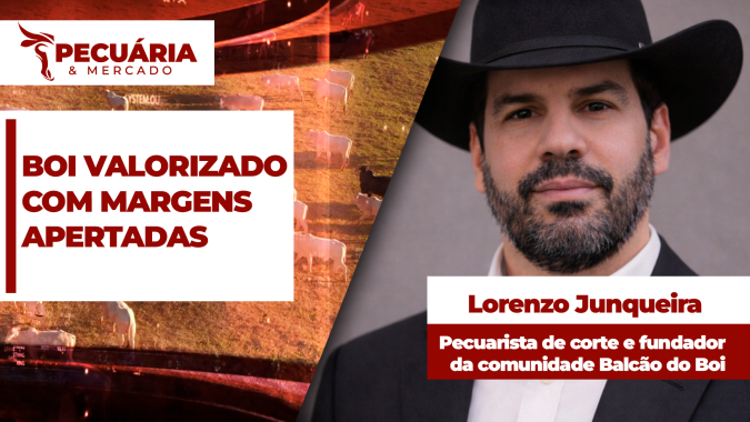 Pecuária em 2027 terá boa valorização da arroba mas risco de margens apertadas, alerta pecuarista