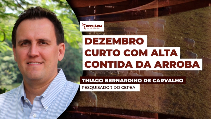 Demanda interna deve concentrar alta da arroba na primeira quinzena de dezembro. Movimento tende a ser contido