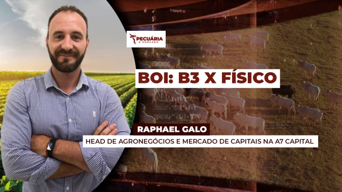 Cotação da arroba na B3 mostra que preços no físico ainda têm espaço para novas altas