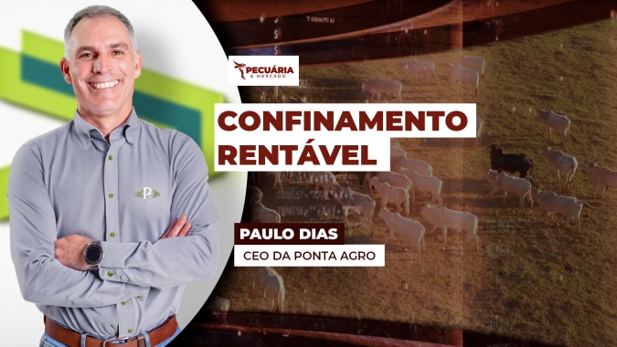 Dieta de confinamento encerra 2025 com baixa histórica