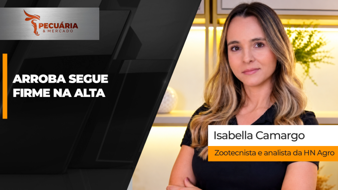 Arroba sobe forte nesse início de outubro e disputa por animais sinaliza continuidade das altas