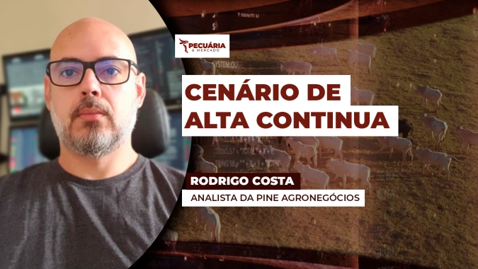 Exportações fortes , demanda interna consistente e uma oferta restrita de animais motivam novas altas da arroba