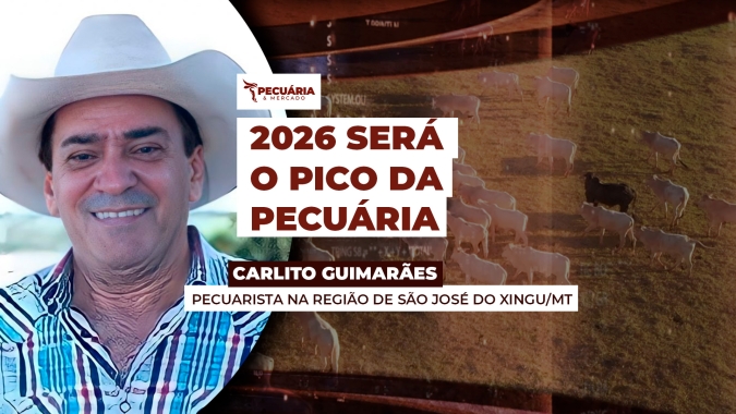 Arroba do boi pode chegar a US$ 70 até 2026, projeta Carlito Guimarães