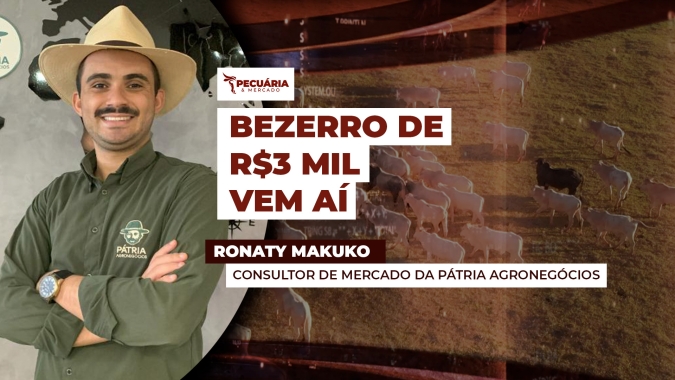 Reação nos preços do bezerro está começando, mas troca ainda é favorável
