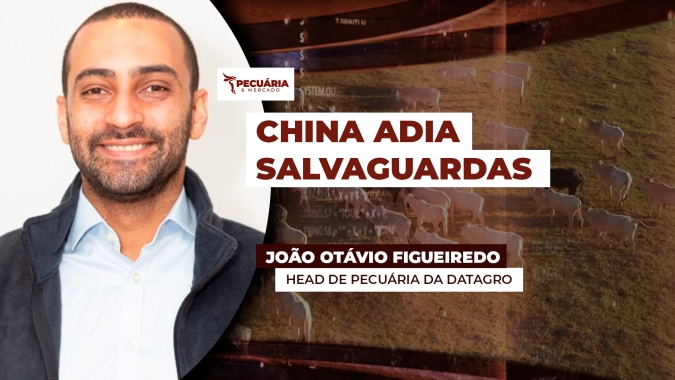 Com prorrogação das medidas de salvaguarda, mercado do boi deve focar em apetite americano e consumo interno