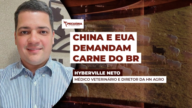 Decisão dos EUA sobre tarifas pode ter levado China a adiar salvaguardas, aponta HN AGRO
