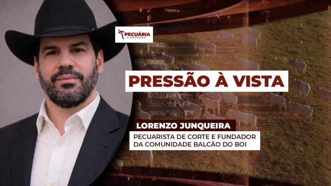 Pressão sobre arroba do boi já começou e deve ser intensificada ao longo de Julho e Agosto, afirma analista