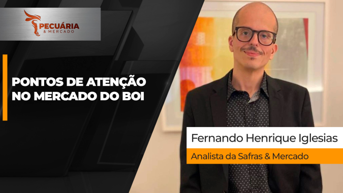 Entenda os fatores que podem impactar os preços da arroba nos próximos meses