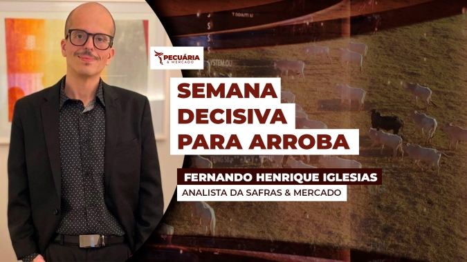 Mercado do boi em compasso de espera por medidas de salvaguarda da China no próximo dia 26