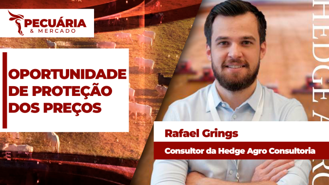 Alta da arroba no mercado futuro proporciona melhor momento do ano para proteção de preços