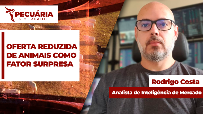 Com a incerteza sobre as demandas, principalmente com fim das cotas chinesas, redução na oferta de animais tende a ser um diferencial importante