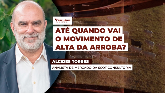 Movimento de alta  do boi é consistente, mas pode ser limitado