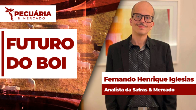 Transição entre terceiro e quarto trimestre do ano deve ser de mercado volátil para o boi