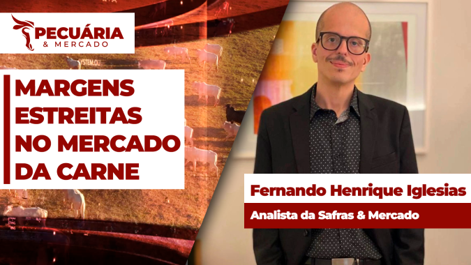 Frigoríficos encontram desafios para ajustar margens da carne no mercado interno