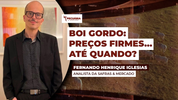 Boi gordo se sustenta com oferta restrita, mas volatilidade externa impõe cautela