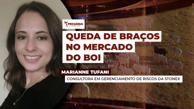 Frigoríficos testam patamares menores para arroba enquanto pecuaristas tentam evitar que novos preços se consolidem