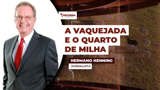 Como a vaquejada, um evento tradicional e cultural do Nordeste, pode influenciar na criação do Quarto de milha.
