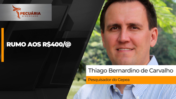 Arroba de R$400 e bezerro de R$4000 são os novos alvos de preços para os próximos meses na pecuária